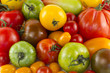 Variété tomates bio 5