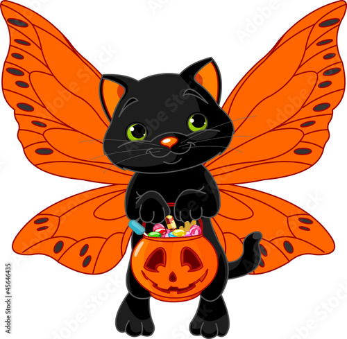 Cute Halloween cat