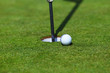 golf ball on lip of cup