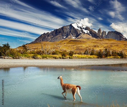 Photo: Torres del Paine National Park, Chile Torres del Paine National Park, Chile