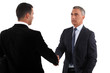 A business handshake