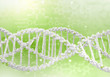 DNA Strand