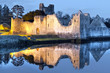 Ruins of Adare castle at the river in Ireland