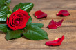 die Rose der Liebe