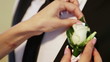 Bride remedies a clothing on a groom