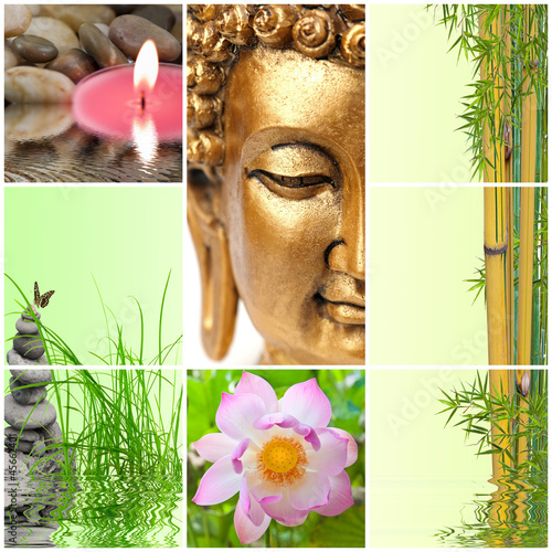 Photo: bambou bouddha zen bambou bouddha zen