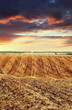 arable land