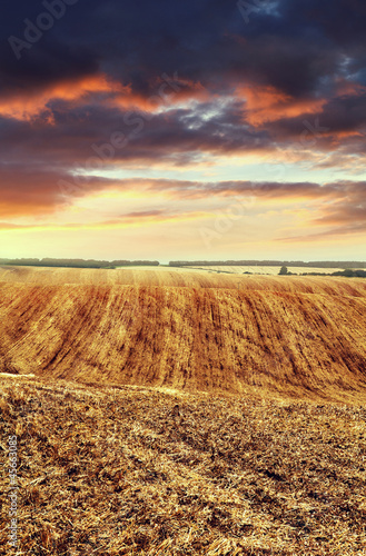Photo: arable land arable land