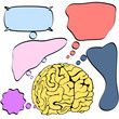 Human brain