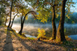 Photo: The autumn wood on the river bank The autumn wood on the river bank