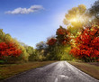 Photo: Road, asphalt, autumn Road, asphalt, autumn