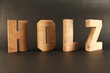 HOLZ text animation with wooden letter version 3