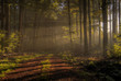 Herbst im Naturpark Saar-Hunsrück