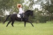 galopp im herbst