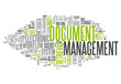 Word Cloud "Document Management"