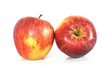 pomme reinette