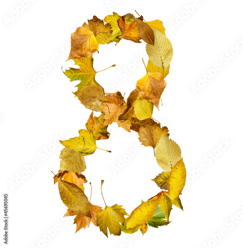 Photo: Number eight made of autumn leaves. Number eight made of autumn leaves.