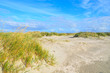 Nordsee Natur Urlaub Meer