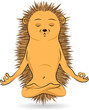 Hedgehog doing yoga-meditation