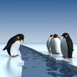 Fun penguins