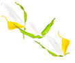 Colored splashes on white background 