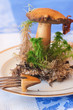 Mushroom