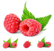 Foto: Raspberry fruit. Set. Raspberry fruit. Set.