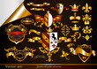 Collection of golden heraldic elements