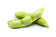 soybean