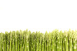 Photo: Green asparagus Green asparagus