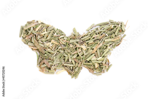 Photo: Rosemary (Rosmarinus officinalis) isolated in butterfly shape on Rosemary (Rosmarinus officinalis) isolated in butterfly shape on