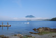 Tofino