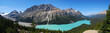 Peyto Glacier