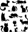 cat set