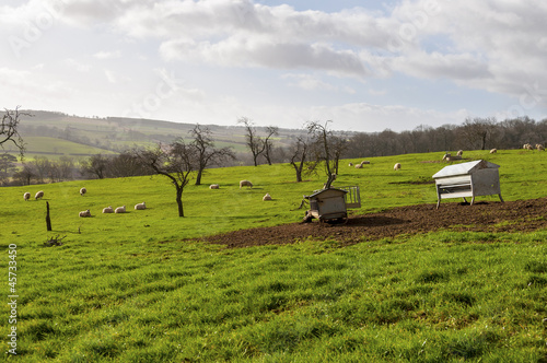 Photo: British landscape in winter British landscape in winter