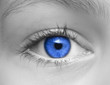 canvas print picture - Auge