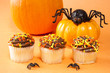 Halloween Cupcakes with Spiders