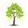 Vector tree