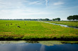 countryside - the Netherlands