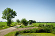 countryside - the Netherlands