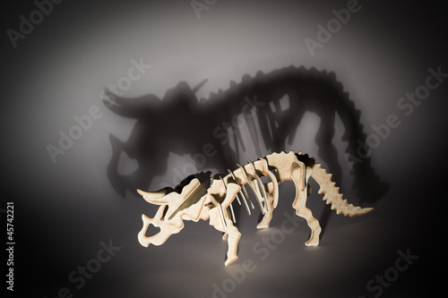 Photo: Triceratopo Triceratopo