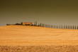Toscana #6