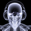 Skeleton X-Ray - DJ 3