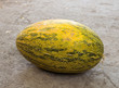 melon