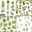 Herbs and spices set