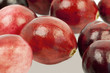 Freshly harvested organic red Cranberries in autumn