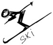 Ski...Vektor