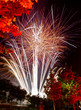 fuegos artificiales