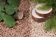 Pellets- biomass