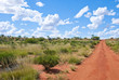 Photo: Unsealed road leading through Outback Unsealed road leading through Outback
